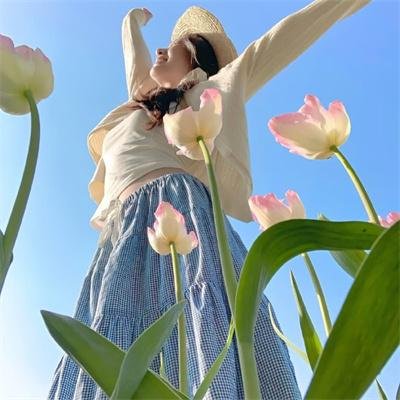 夺宝寻龙：北冥鲲宫